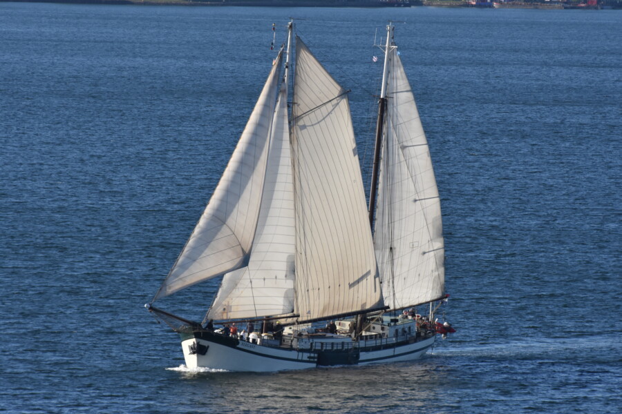 Passage from Stralsund to Ribnitz – Damgarten to the end of the Bodden waters by Segelschiff Elegant