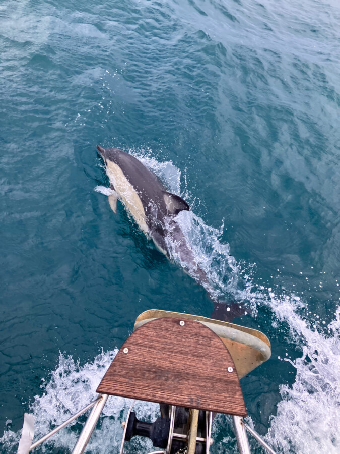 La Gomera to Mindelo, Cape Verde – Until the butter melts by