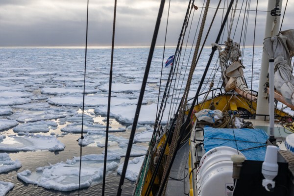 Spitzbergen Segel- & Wander-Expedition im arktischen Hochsommer – für aktive Menschen von 