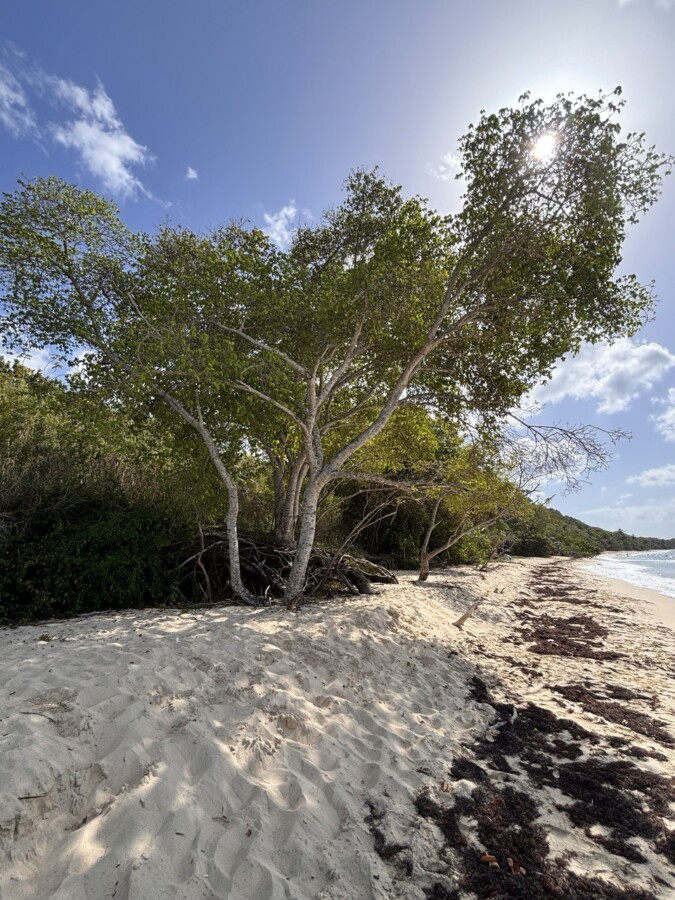 Untamed & untouched – superb sailing trip through the British Virgin Islands by