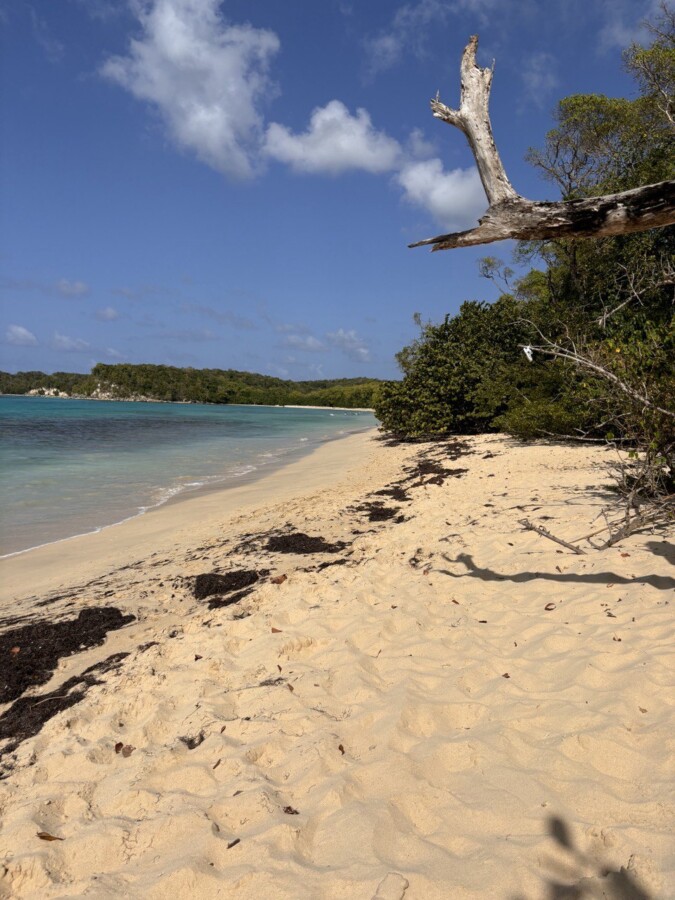 Untamed & untouched – superb sailing trip through the British Virgin Islands by