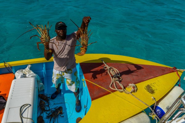 Frühbucher Winter 26/27: Katamaransegeltörn Karibik ab Guadeloupe von 