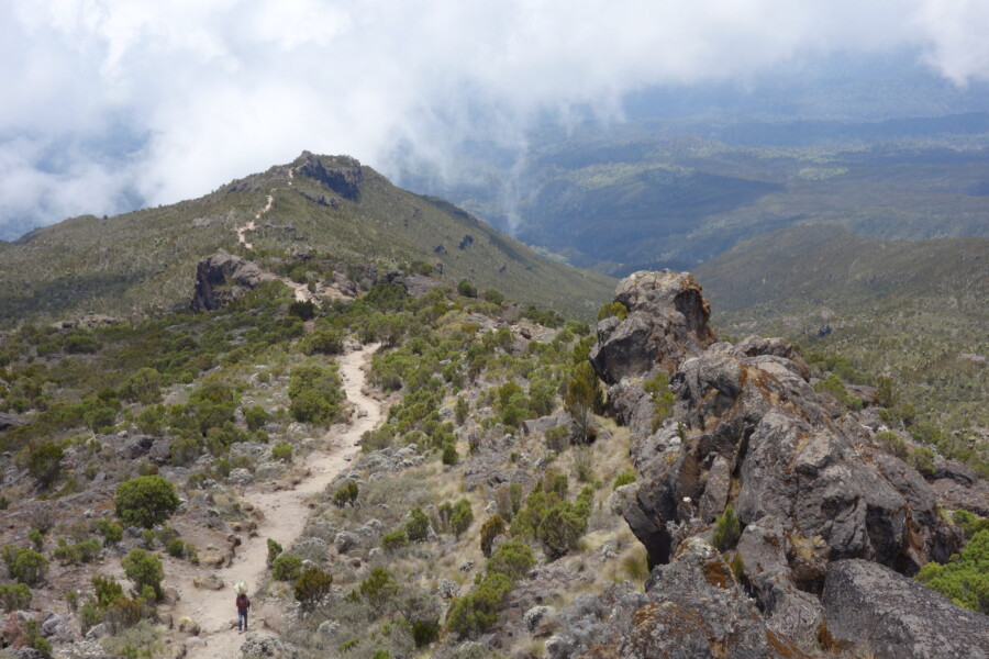 Zanzibar & Kilimanjaro Climb: The Ultimate East African Adventure by