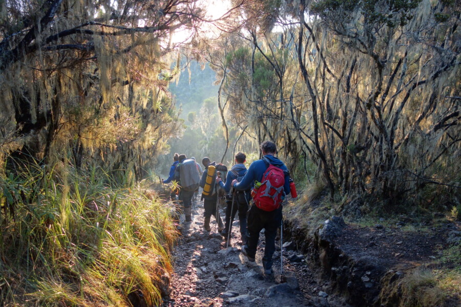 Zanzibar & Kilimanjaro Climb: The Ultimate East African Adventure by