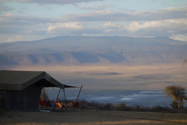 Sansibar & Safari: Die perfekte Kombination aus Inselparadies und Wildnis von 