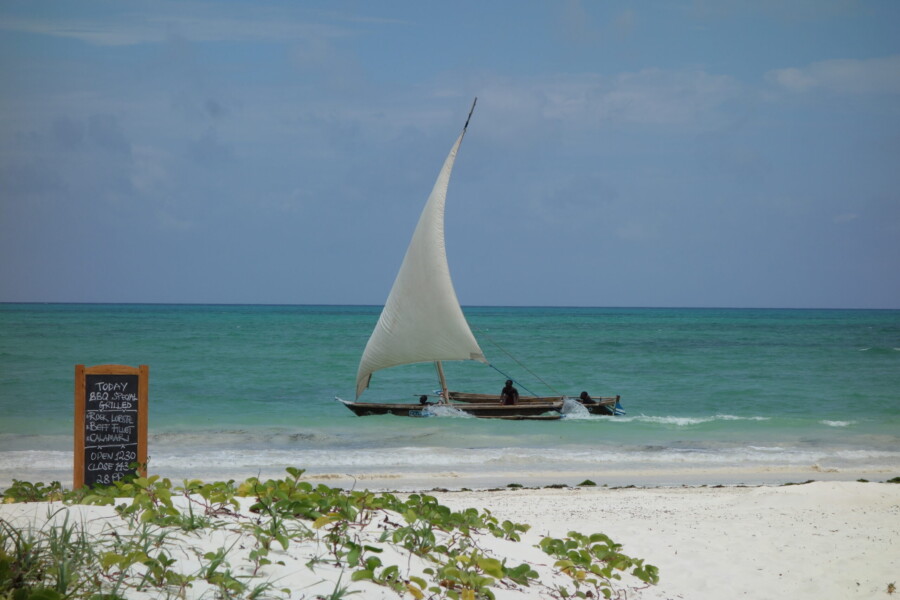 Zanzibar & Kilimanjaro Climb: The Ultimate East African Adventure by mitPabloumdieWelt