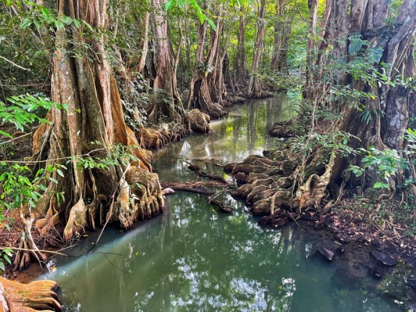 Karibiktörn Mitsegeltörn ab Guadeloupe von 