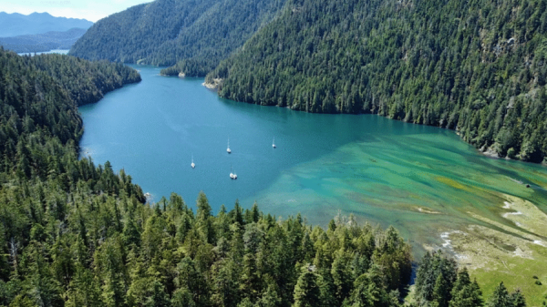 Westkanada! Das Segelabenteuer Deines Lebens. Törn 2 von L. Baur Segelabenteuer