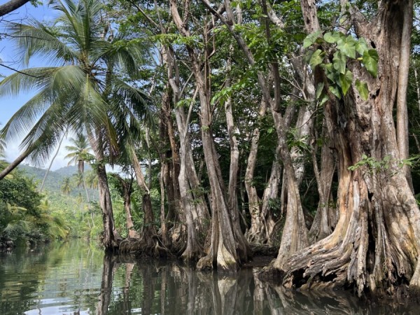 Urlaubstörn in der Karibik auf einer Lagoon 42 – kleine Antillen ab Martinique von 