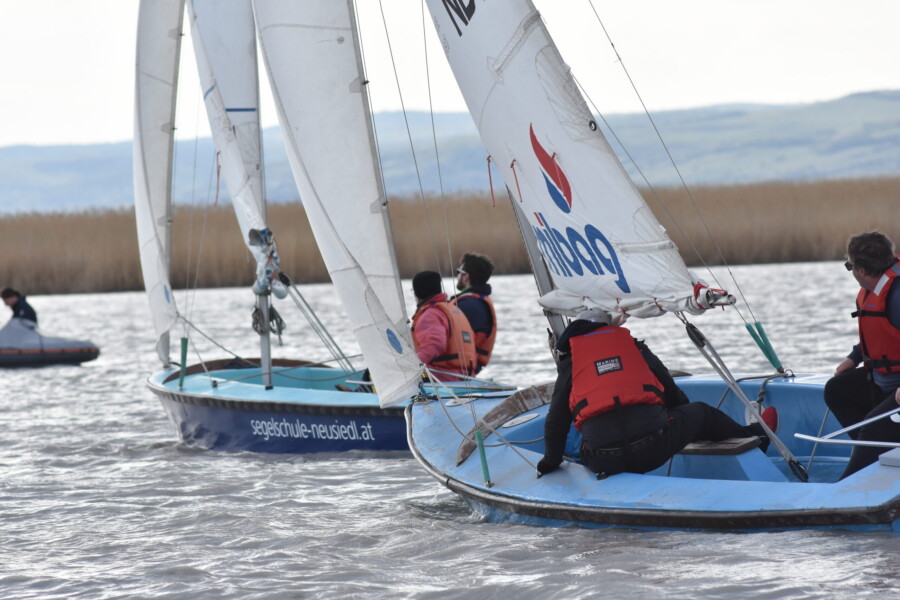 Sailing courses at Lake Neusiedl by