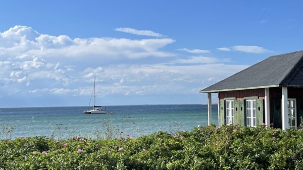Dänische Südsee, Rund Fünen, Crew-Wunschtörn oder Regatta-Events von 
