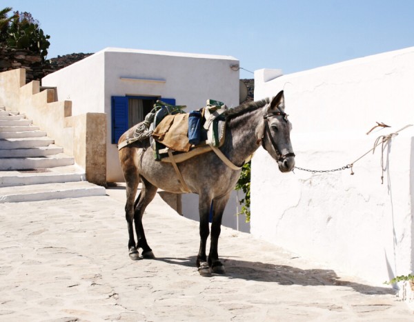 ONEWAY MILOS – ALIMOS. Kykladen pur! von 