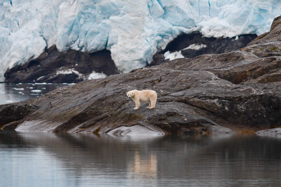 Sailing & Hiking on Svalbard | 9 Days in the Arctic under the Midnight Sun by