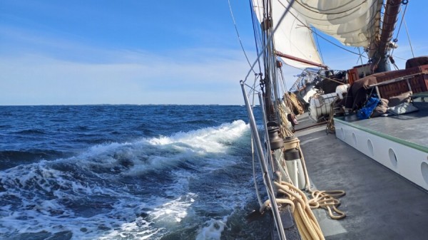 Mitsegelreise(September): Segeln in die Danische Südsee  (Kiel-Kiel) von Traditionsschiff Iris