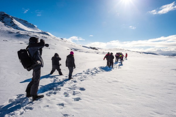 Arktischer Sommer: Segeln und Wandern in Spitzbergen mit Guides – nachhaltig & sicher von 
