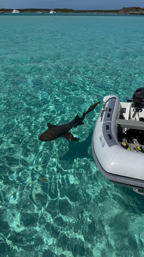 Bahamas Calling – 14 Tage Segelabenteuer im Aquarium der Karibik von 