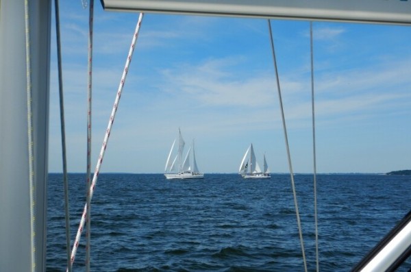 Großer Boddentörn – Segeltörn ab Baabe, 1.8.2026 um 10:00 Uhr, 4h von 