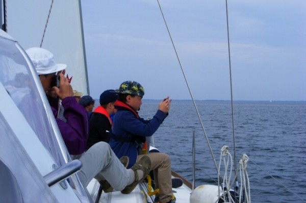Robbentörn – Segeltörn ab Baabe, 31.7.2026 um 9:00 Uhr, 5h von 
