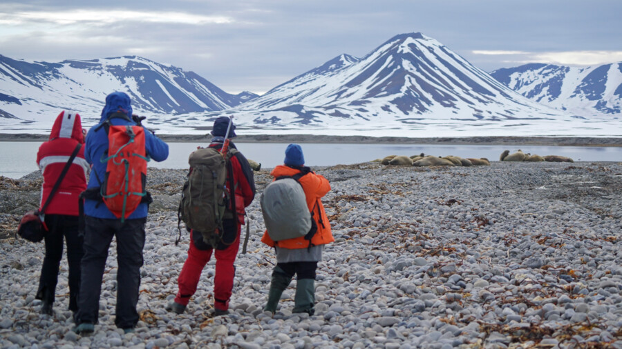 Rund um Spitzbergen | 16 Tage Arktis, Fjorde & Mitternachtssonne by