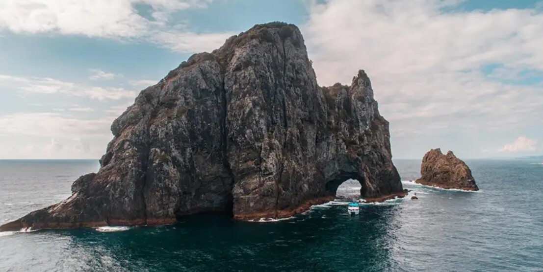 Natural paradise New Zealand, Bay of Islands, air conditioning, Starlink from
