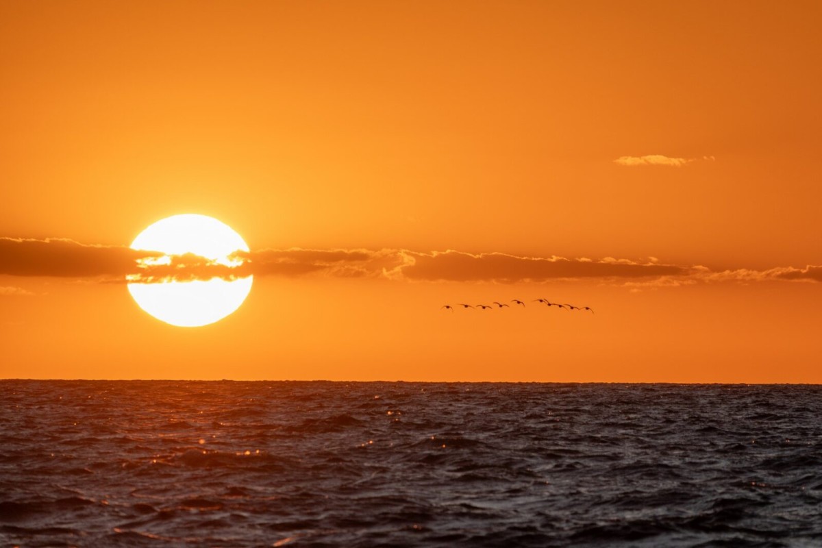 BALTIC SEA TRIP: CABIN CHARTER IN THE DANISH SOUTH SEA ISLANDS FROM ECKERNFÖRDE from