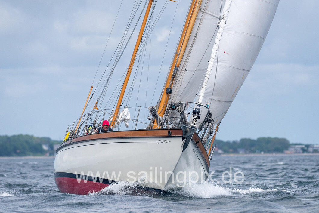 Büschen Ostsee  Saison rund by