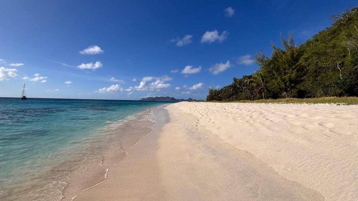 From Mallorca to the Caribbean Leg 4 Mindelo – Tortola by