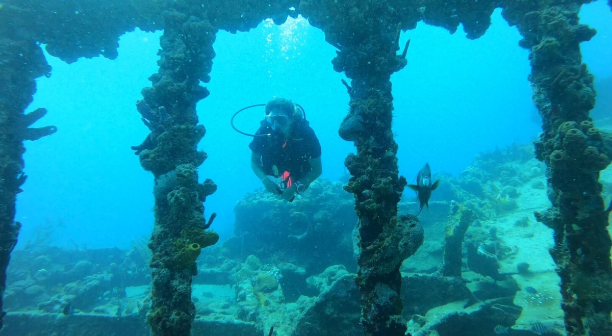 Sailing & diving off the coast of Tobago by