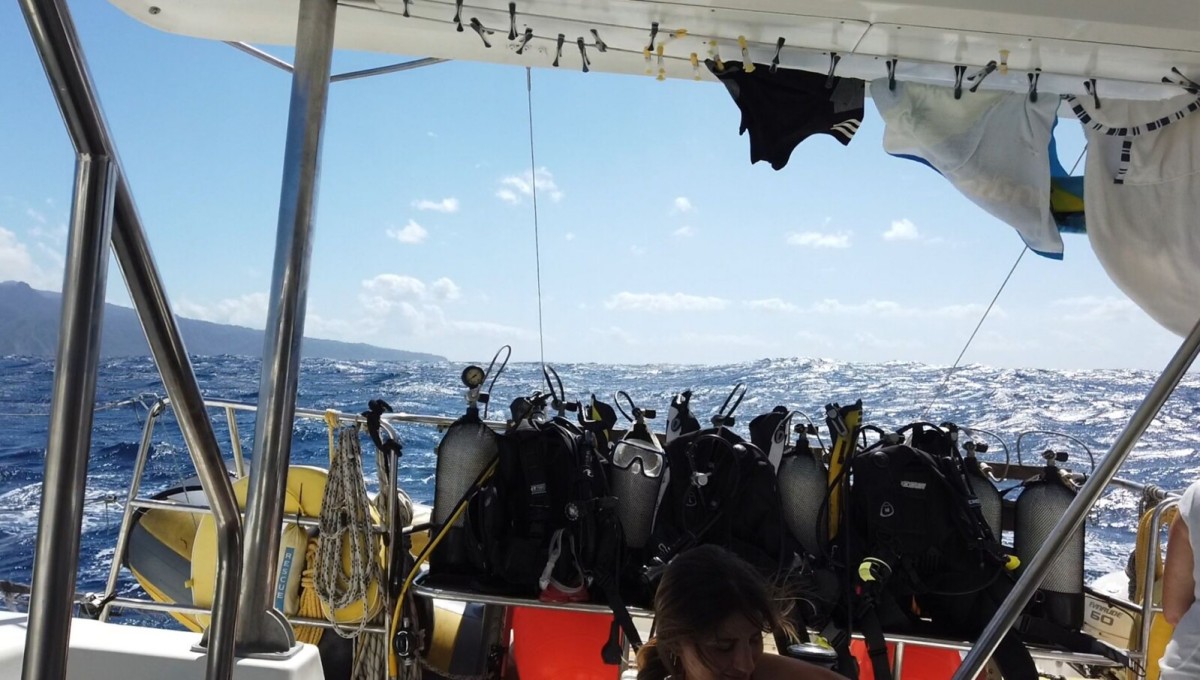 Segeln & Tauchen vor der Küste Tobagos von 