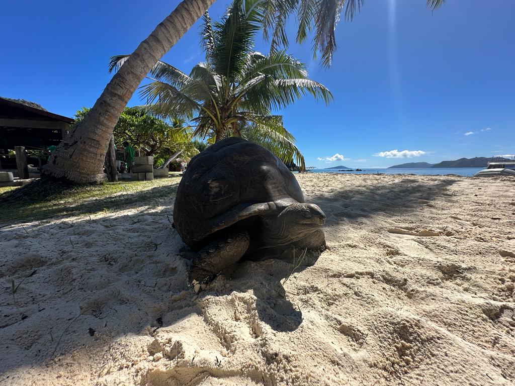 Seychelles Sailing Dream 2027 – the Inner Islands by