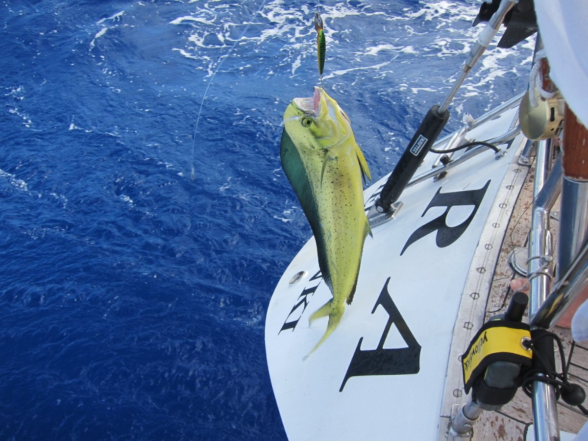 Caribbean Windward Leeward Islands Cruise by