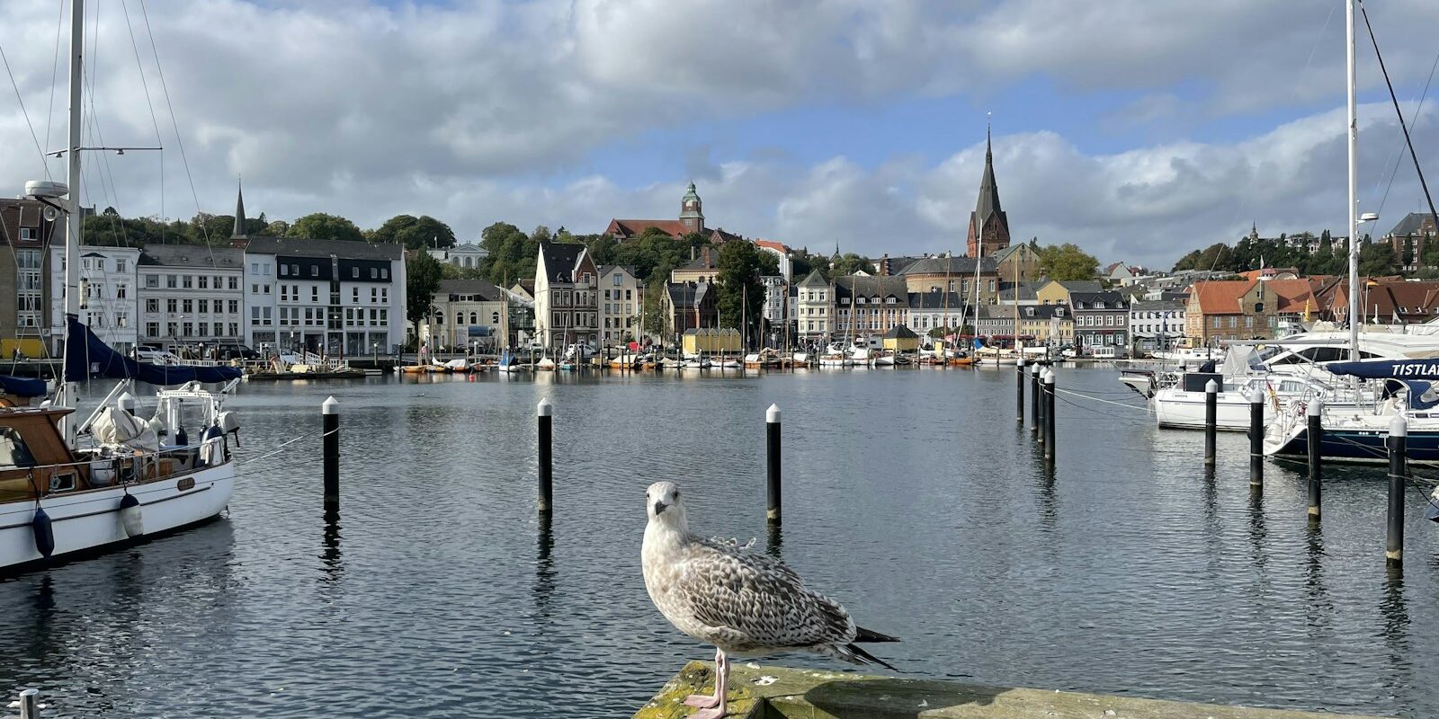 Flensburger Hafen mit Blick auf die Innenstadt