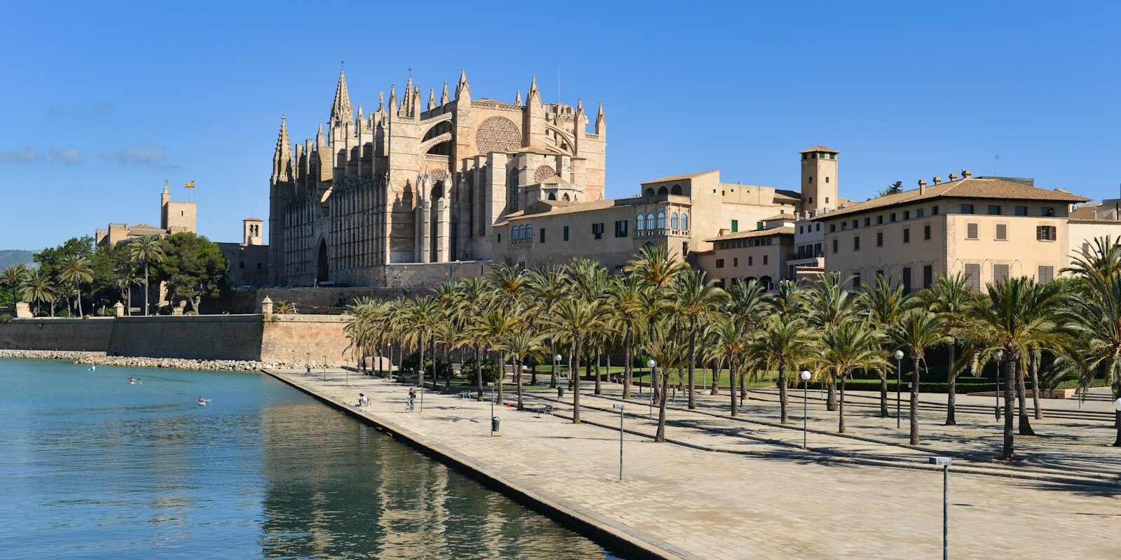 La Seu Cathedral in Palma with palms by the water La Seu Cathedral in Palma with palms by the water