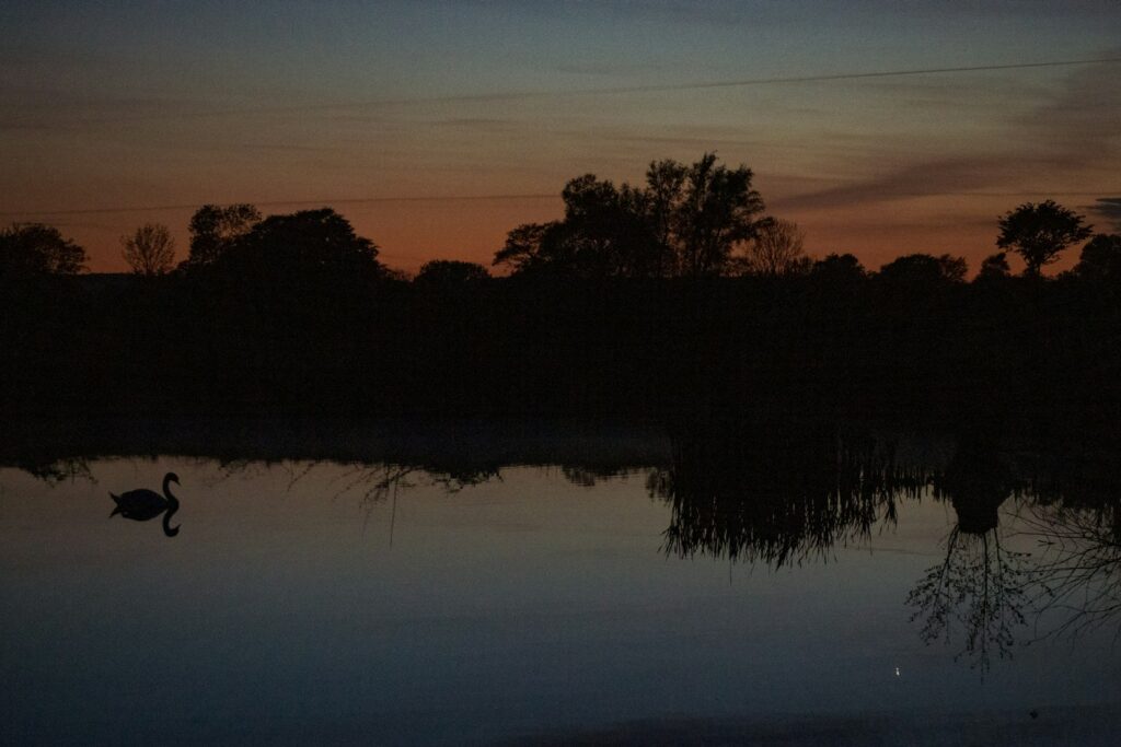 Abendstimmung an einem Ufer der Schlei