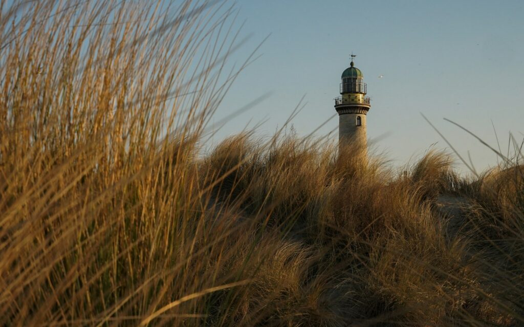 Leuchtturm Warnemünde hinter Dünengras